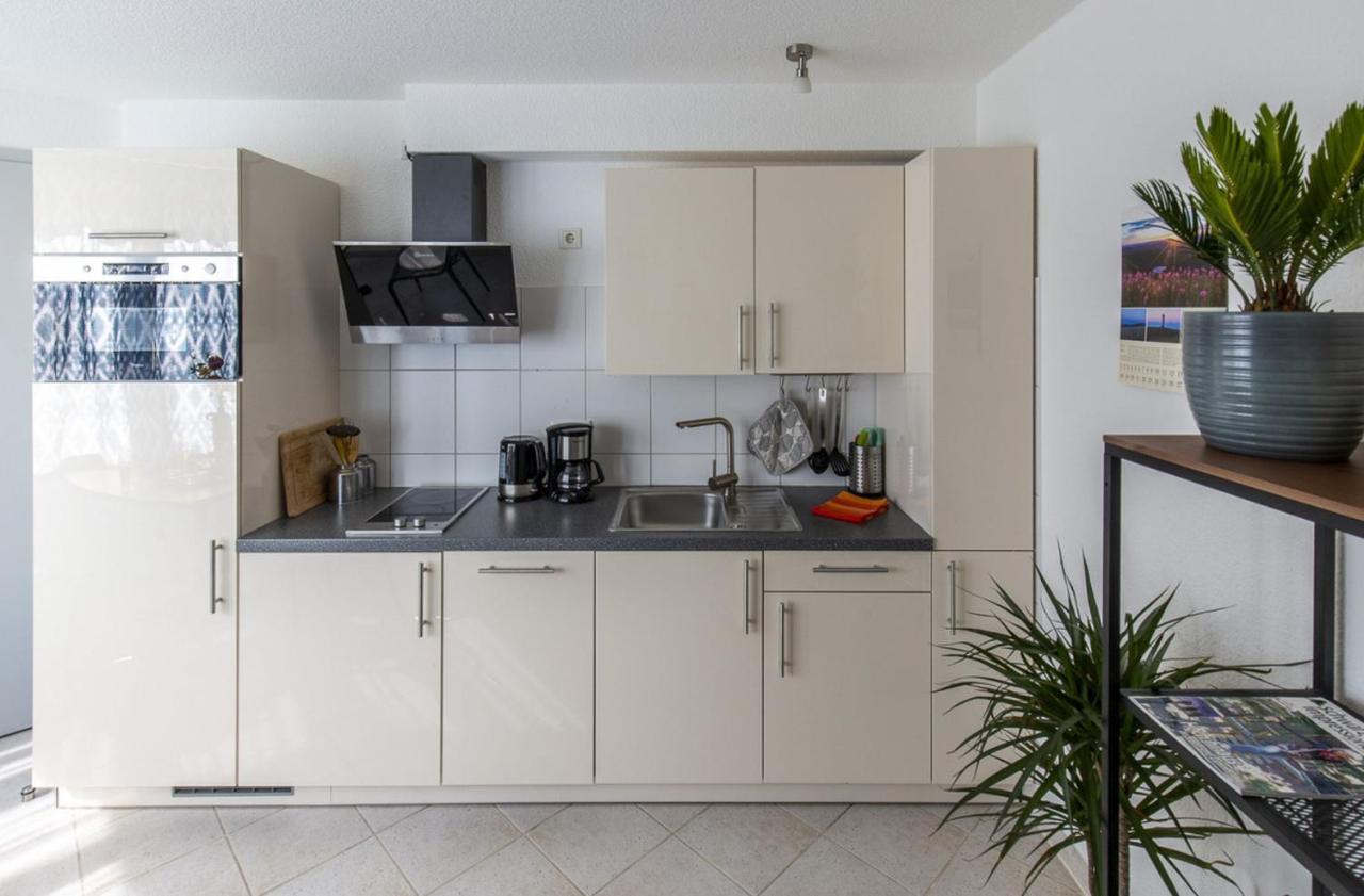 Apartments Im Cafe Einstein Freiburg im Breisgau Ngoại thất bức ảnh